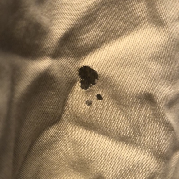 Pretty Beige FREE PEOPLE Jacket - Picture 7 of 17